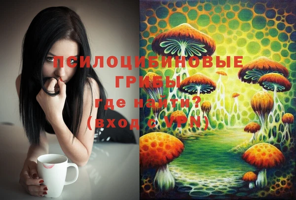 mix Алексин