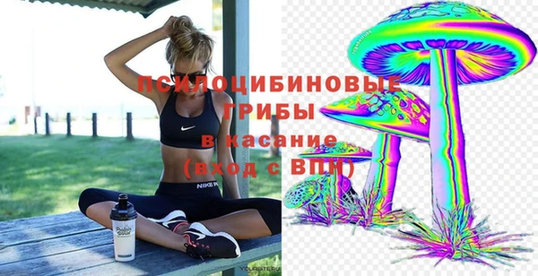 mix Алексин